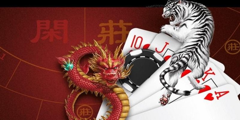 Hướng dẫn chơi rồng hổ online hiệu quả cho người mới